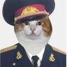 Cryptothiev
