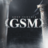 GSM SERVICE